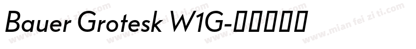 Bauer Grotesk W1G字体转换